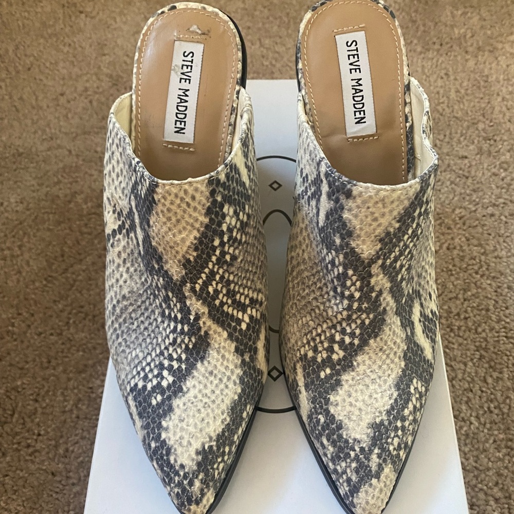 Steve Madden Snake Mule/Clog